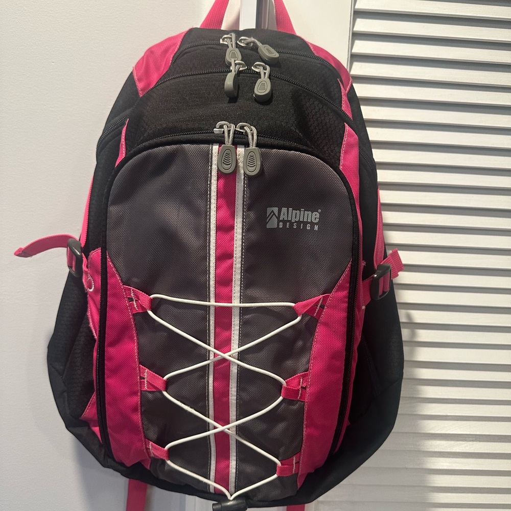 Alpine Design Black and Pink Adventure Backpack